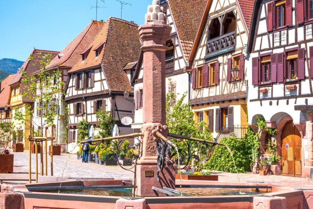 Vue Splendide Au Coeur Des Vignes Apartment Bergheim Exterior photo